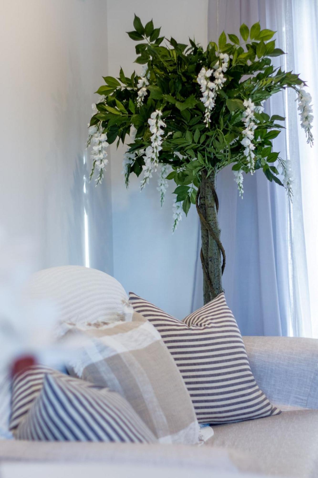 כרייסטצ'רץ' Stylish 2-Bedroom Haven Next To Hagley Park מראה חיצוני תמונה
